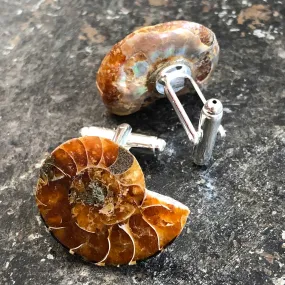 Ammonite Cufflinks, golden ratio men's fossil cufflinks