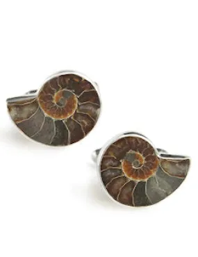 Nassau Nautilus Ammonite Cufflinks